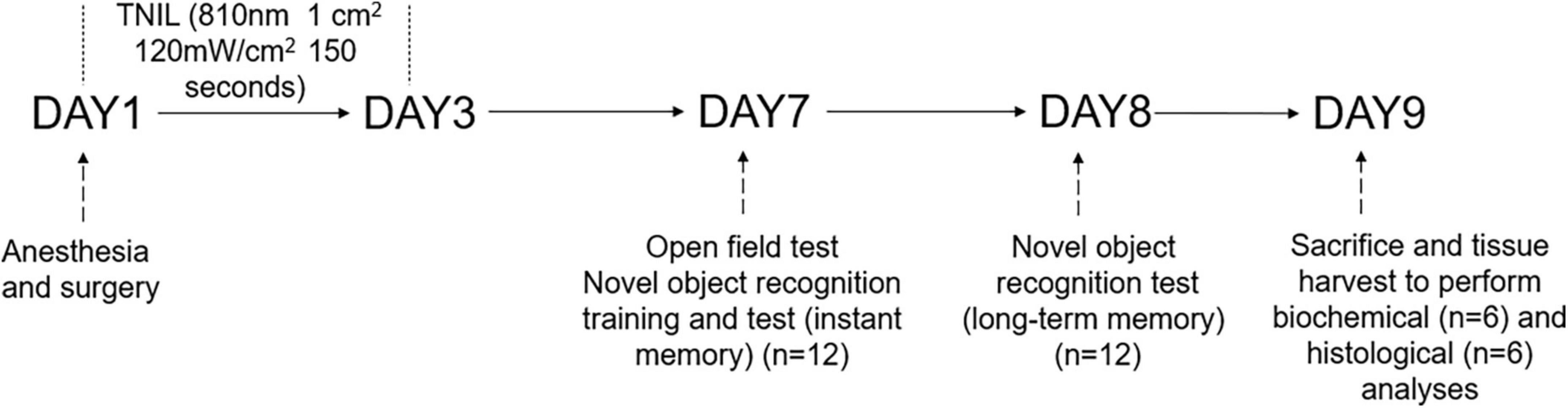 Transcranial near-infrared laser improves postoperative neurocognitive disorder in aged mice via SIRT3/AMPK/Nrf2 pathway